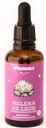 ​ADAPTOGENO MELENA DE LEON FUNGI SOUL GOTAS X 50 ML -MEMORIA Y CONCENTRACION