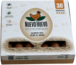 [p2808] HUEVO PASTORIL NUEVO HUEVO MAPLE X 30