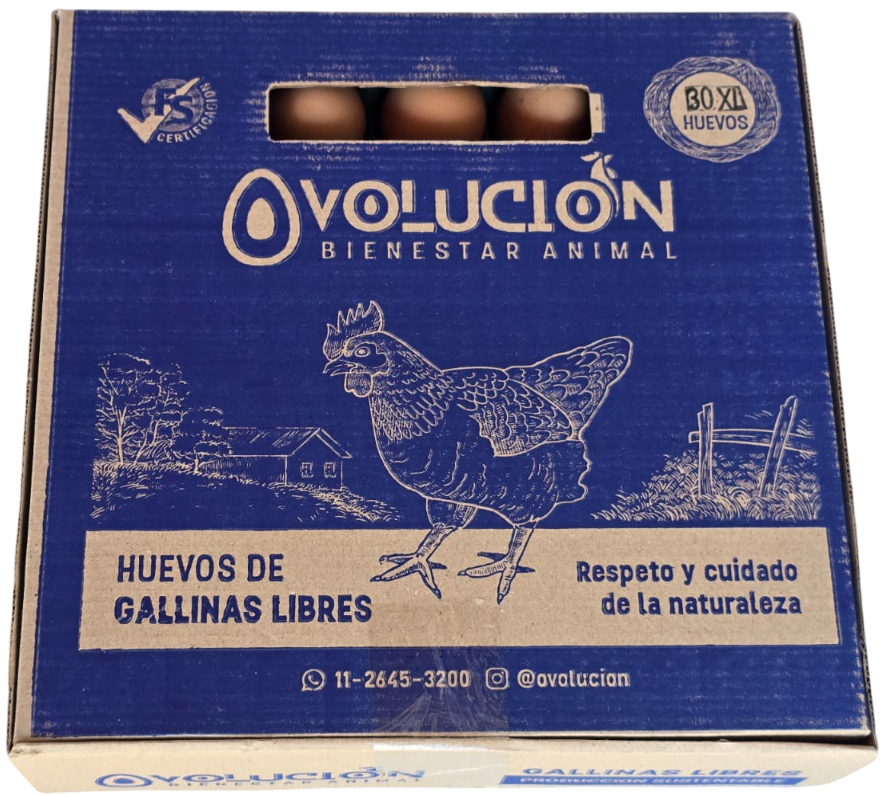 HUEVO COLOR PASTORIL -XL- OVOLUCION MAPLE X 30 